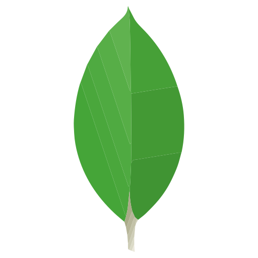 /assets/mongodb_icon-fedbcc5f.png